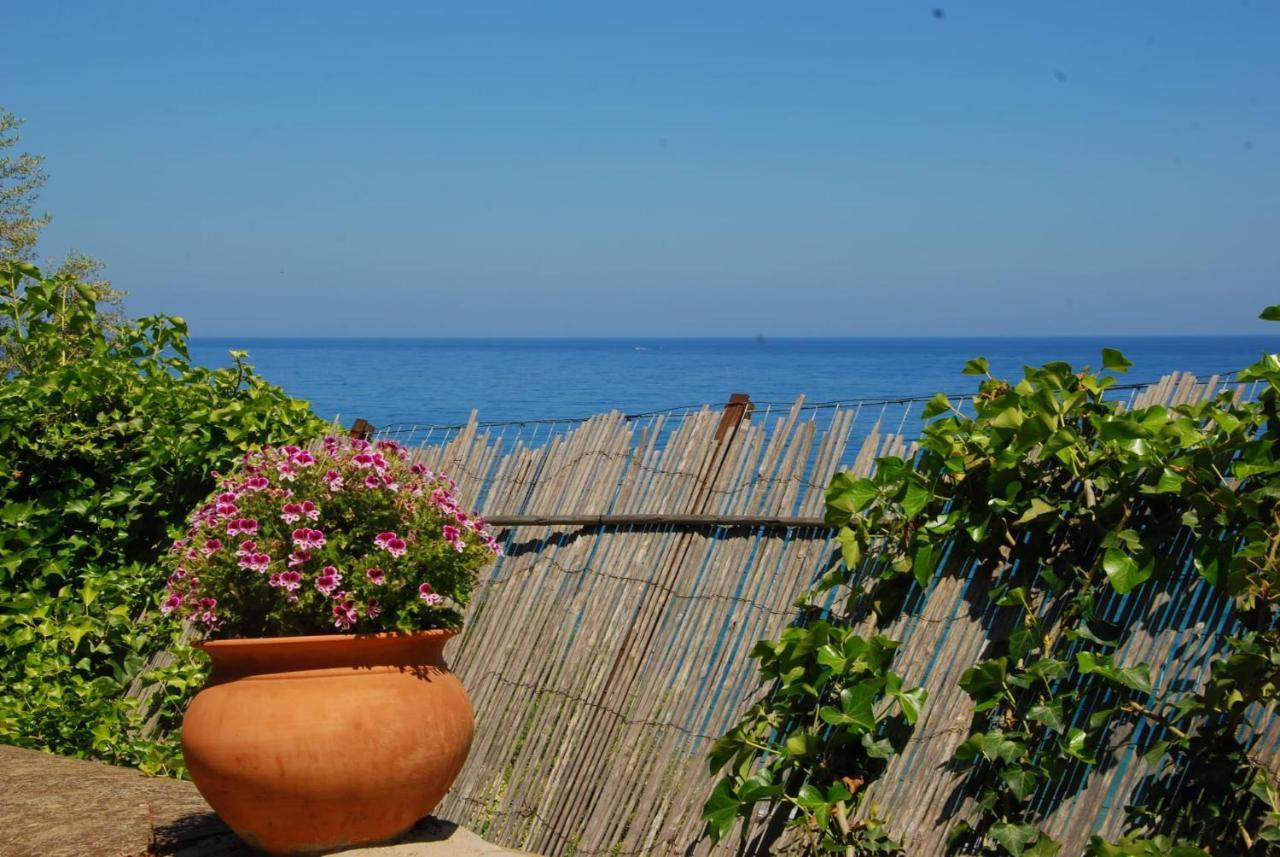 Four Seasons Summer Room Cefalù Exteriör bild